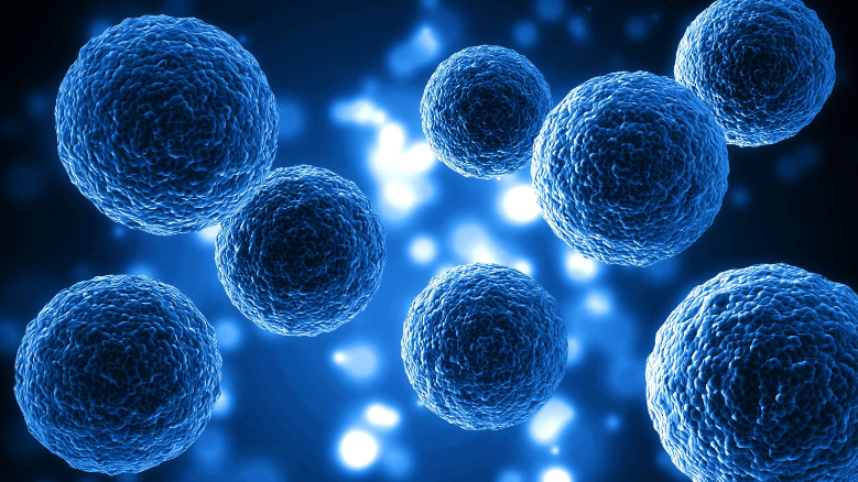 Аутофагія: як клітини самі себе очищають і омолоджують