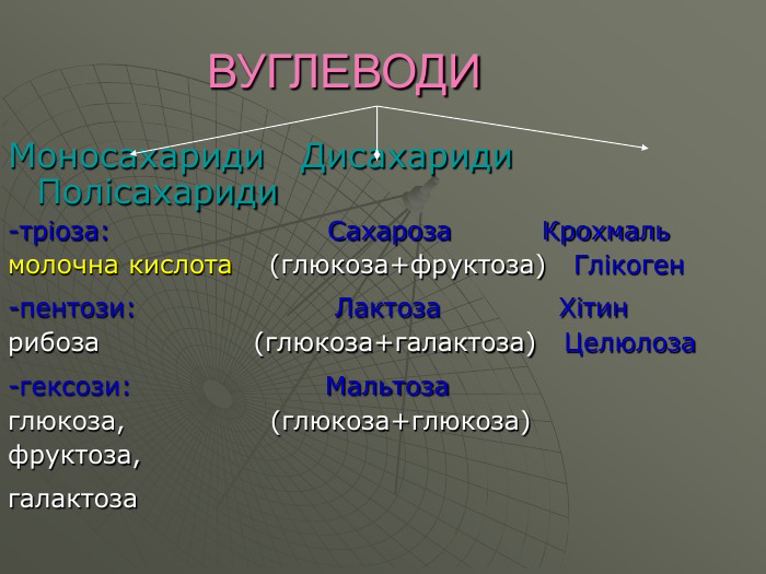 Рибоза: що це таке і як вона живить вашу енергію щодня